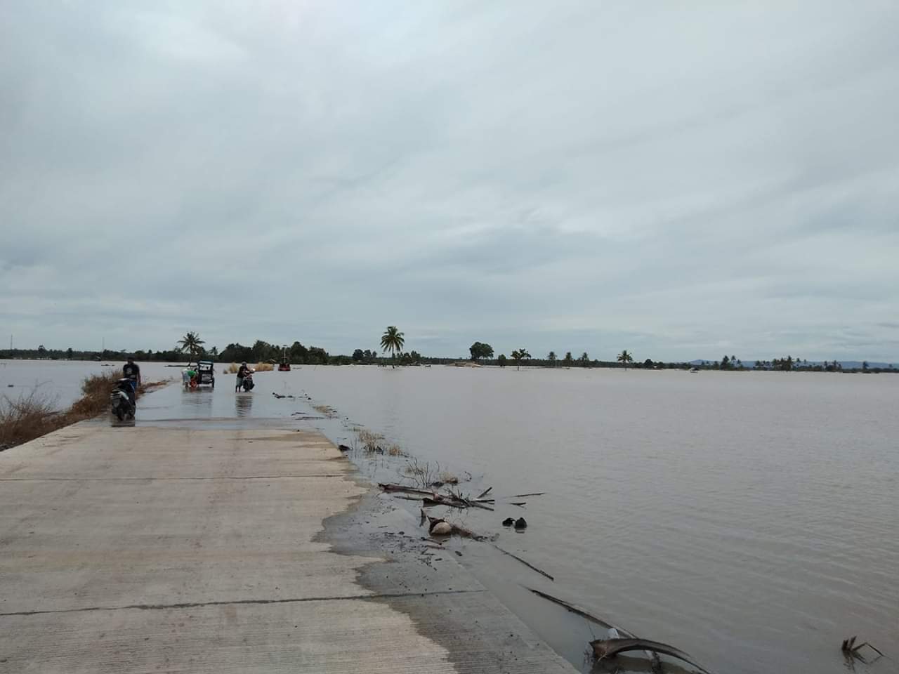 Terendam Banjir, 3.126 Ha Sawah Di Soppeng Terancam Puso