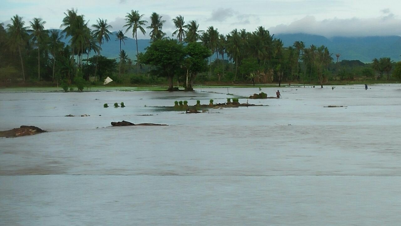 Sungai Lawo Meluap, Dusun Bakke Dan Desa Ganra Terendam Banjir