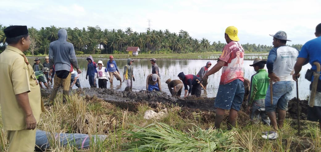 Kelompok Tani Larekkeng Kelurahan JennaE Gotong Royong Bersihkan Saluran Irigasi